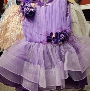 Purple Pagent Dress Size 6